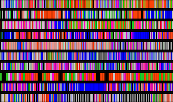 Visualization of fragmented digital experience